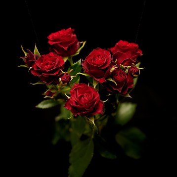3а_спрей------------------------red-pion--tia_3960