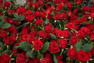 4в_классическая---try-lovetia_3648
